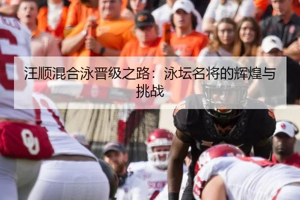 汪顺混合泳晋级之路：泳坛名将的辉煌与挑战